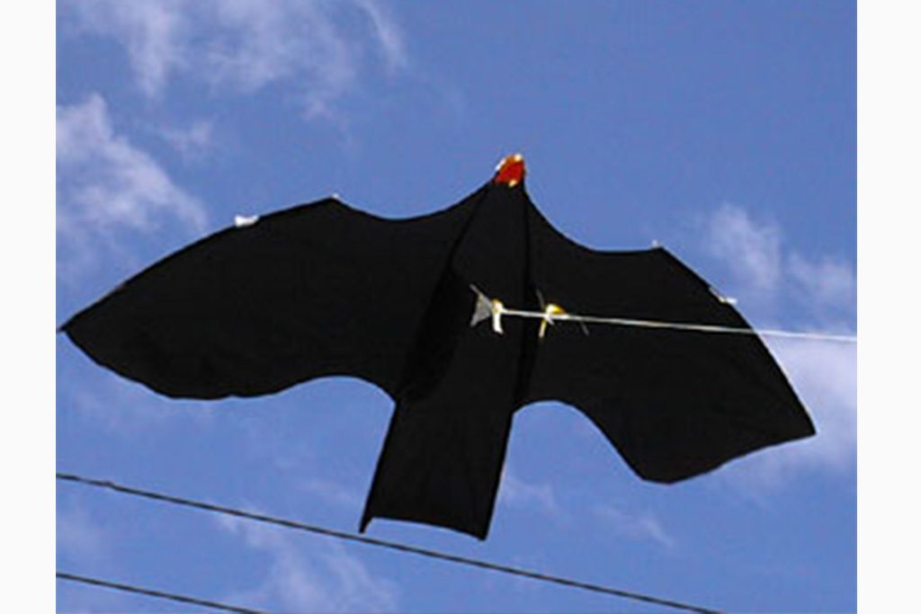 bird-scarer