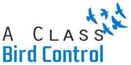 A Class Bird Control