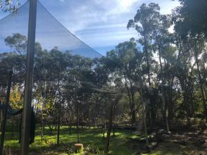 Orchard Netting