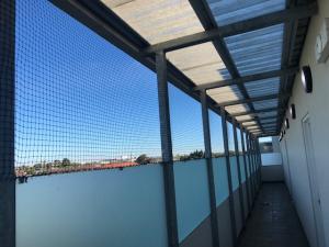 Bird Netting Installed to Unit Balcony
