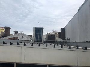 IMG 0192