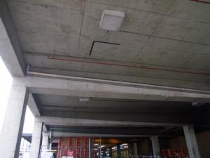 DSCF5516
