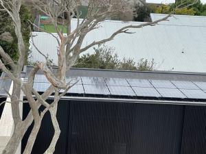 Geelong_Hospital_image013