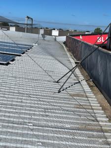 Elevated roof netting to protect solar panels from Seagulls