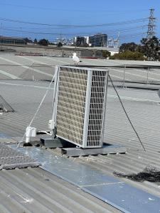 Elevated Seagull Netting to protect solar panels in Port Melbourne