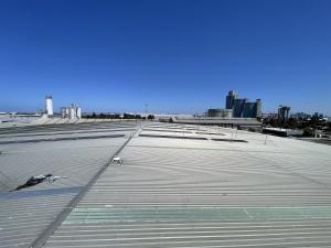IMG 4925