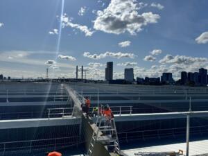 Seagull elevated bird netting completed in Port Melbourne after 5 weeks and 32 (50m x 25m) individual nets and 650 metres of Seagull Spikes