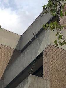 Royal Melbourne Hospital Netting Gallery 6