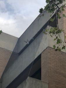 Royal Melbourne Hospital Netting Gallery 7