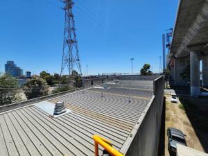 Elevated Seagull Netting Port Melbourne