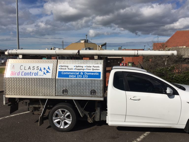 About Us Commercial Bird Pest Control Geelong & Melbourne
