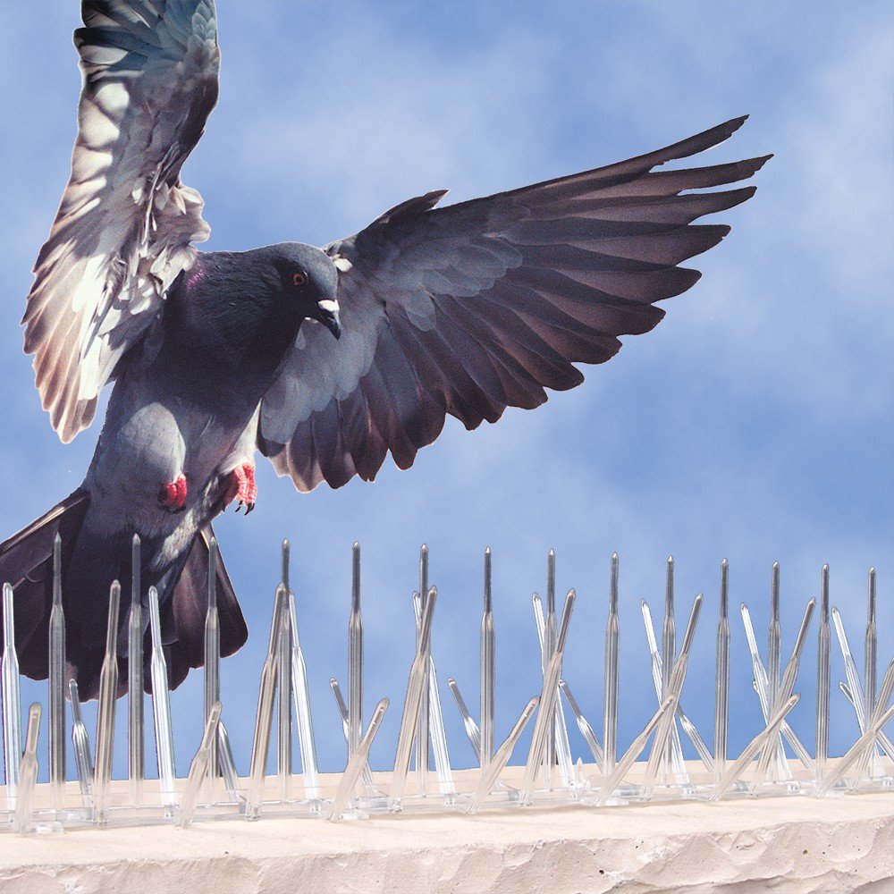 how to keep birds away from your balcony