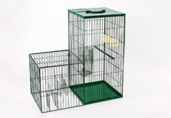 Indian Myna Trap