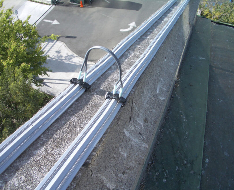 Read More About Bird Shock Track