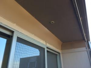 Bird Slide to Stop Sparrows Making Mud Nests-2