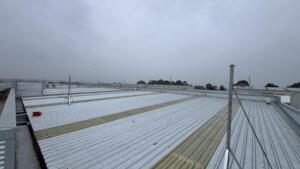 Elevated Seagull Netting (1)