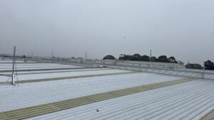 Elevated Seagull Netting (2)