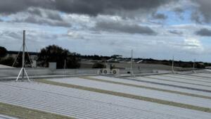 Elevated Seagull Netting (5)