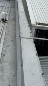 Elevated Seagull Netting (6)
