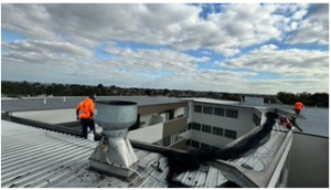 Netting to cover Townhouse light well in Preston