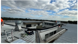 Netting to cover Townhouse light well in Preston